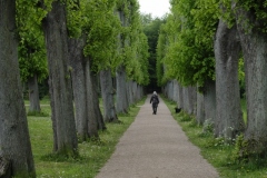 Fototur-til-Bernstofparken_DSF0840-9