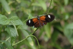 Fototur-til-Botanisk-Have_DSF2200-165