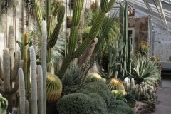 Fototur-til-Botanisk-Have_DSF2200-97