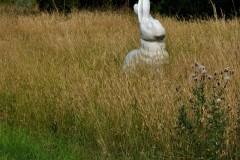 Fototur-til-Egebjerg_-42