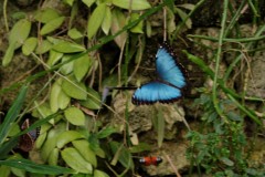 Fototur-til-Botanisk-Have