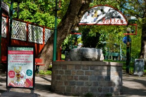 Fotoklubbens Bakke tur under Covid 19