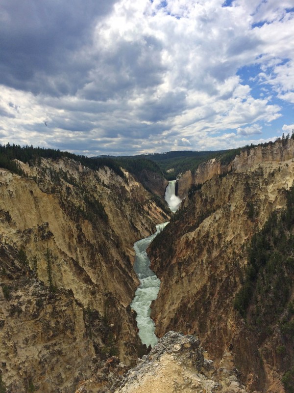 IMG_3958_b-Artist-Point-Lower-Falls-of-the-Yellowstone