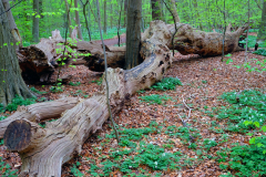 18-DSCF0108