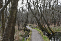 27-DSC_0863