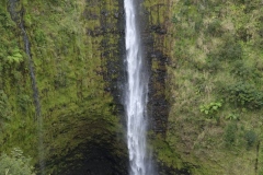 Akaka-Falls-132-mtr.-Big-Island