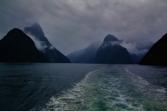 Foto: Bo Jensen. Milfort Sound, New Zealand